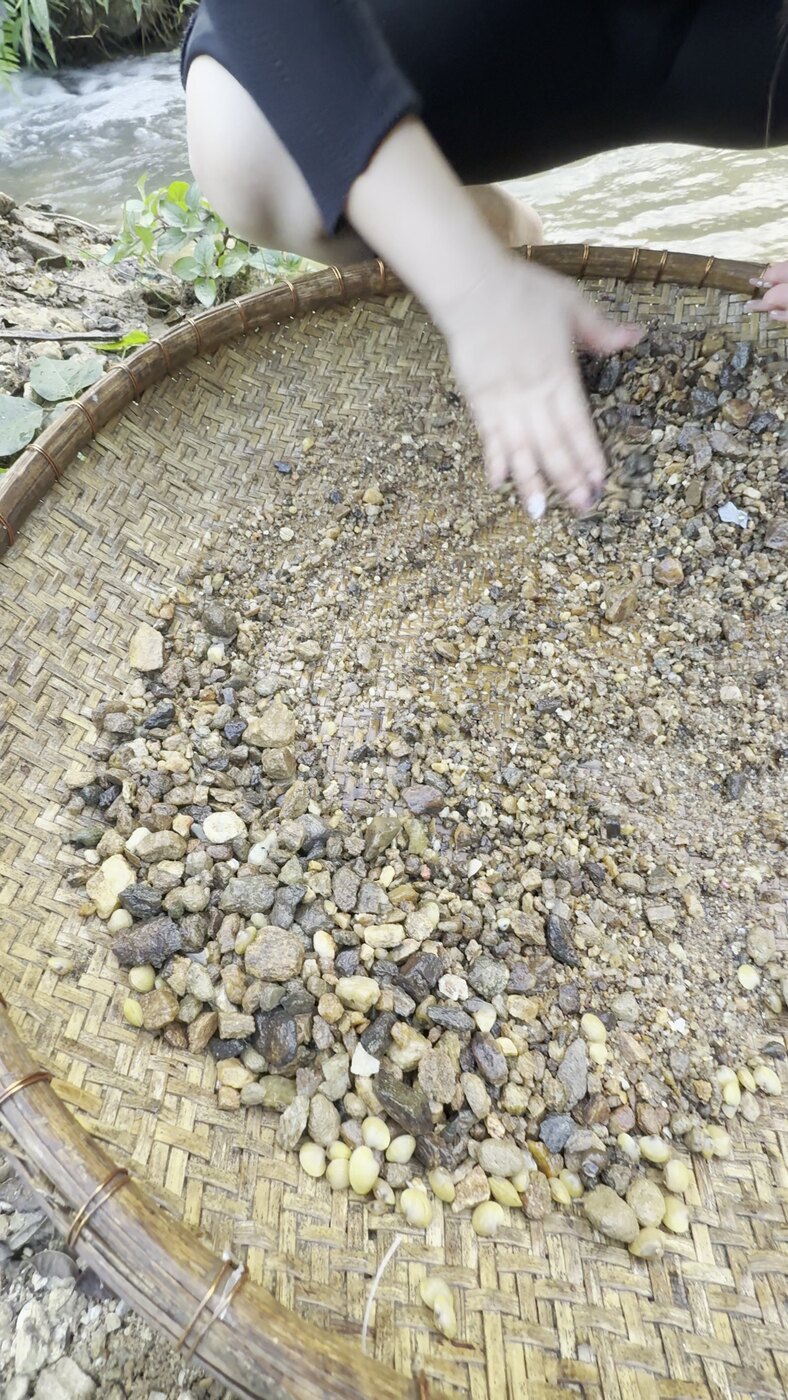 Washing gravel for gemstones in a bamboo basket beside a stream in Luc Yen